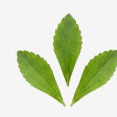 Stevia Leaf